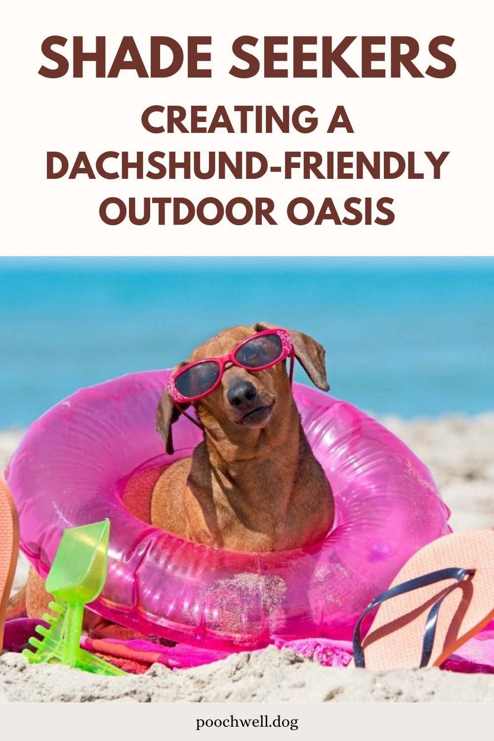 dachshund-friendly outdoor oasis