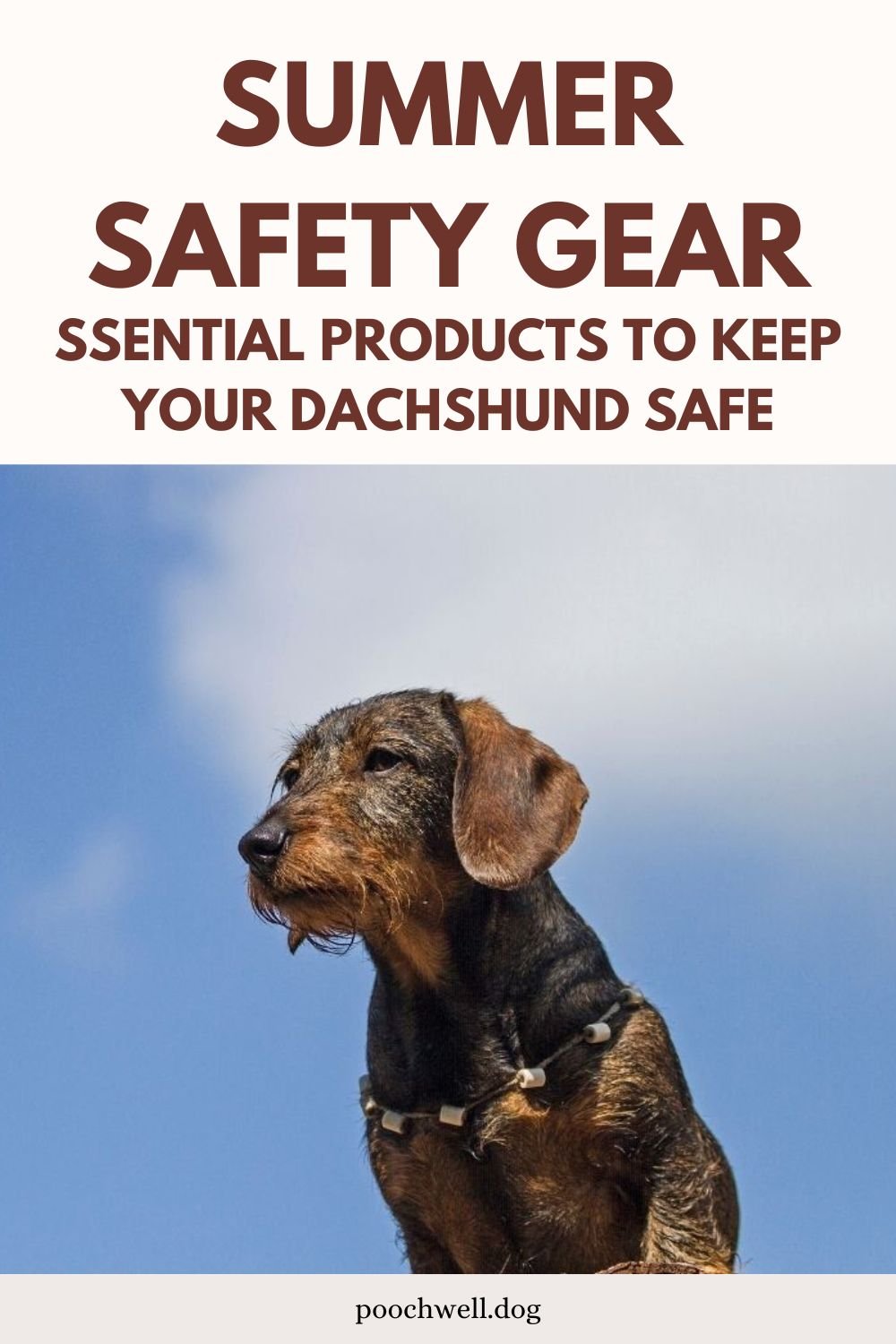 summer safety gear
