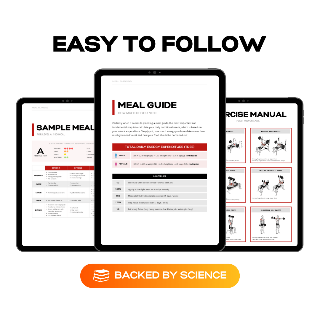 WESTWOOD 6-Weeks Muscle Building Challenge