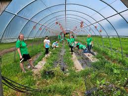 Riverview Gardens Hydroponic Gardens