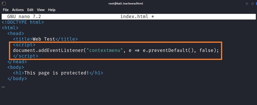 Hide the Source Code of a Web Page using JavaScript