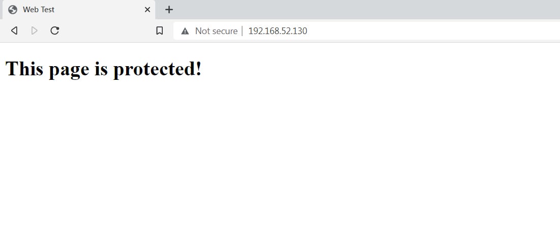 Hide the Source Code of a Web Page using JavaScript