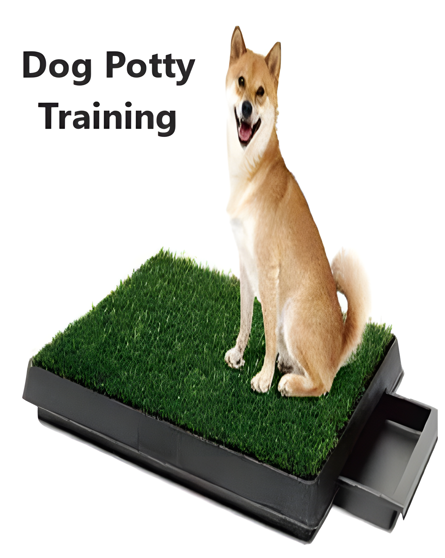 Poothy Dog E-Book - Dog Potty Training - Payhip