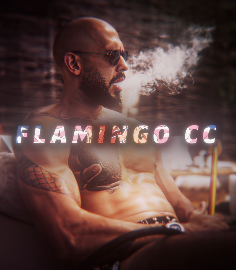 Premium CC Bundle - Payhip
