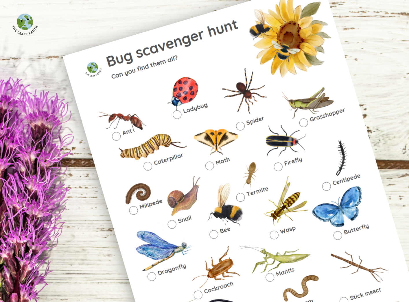 bug-scavenger-hunt-payhip for Free Printable Bug Scavenger Hunt Bug Scavenger Hunt - Payhip for Free Printable Bug Scavenger Hunt