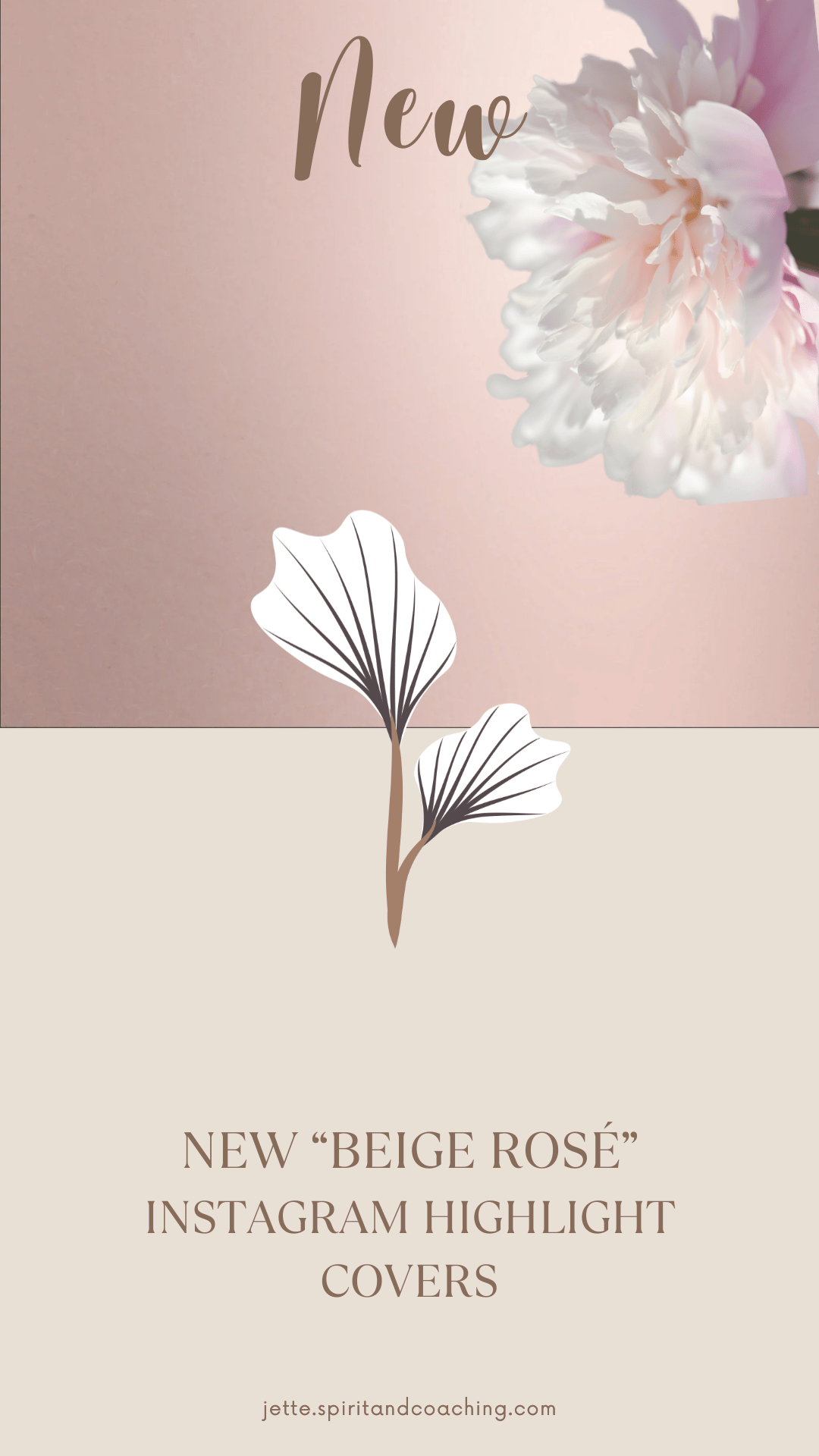 new-format-instagram-highlight-covers-pastel-flowers-jette-hofmann