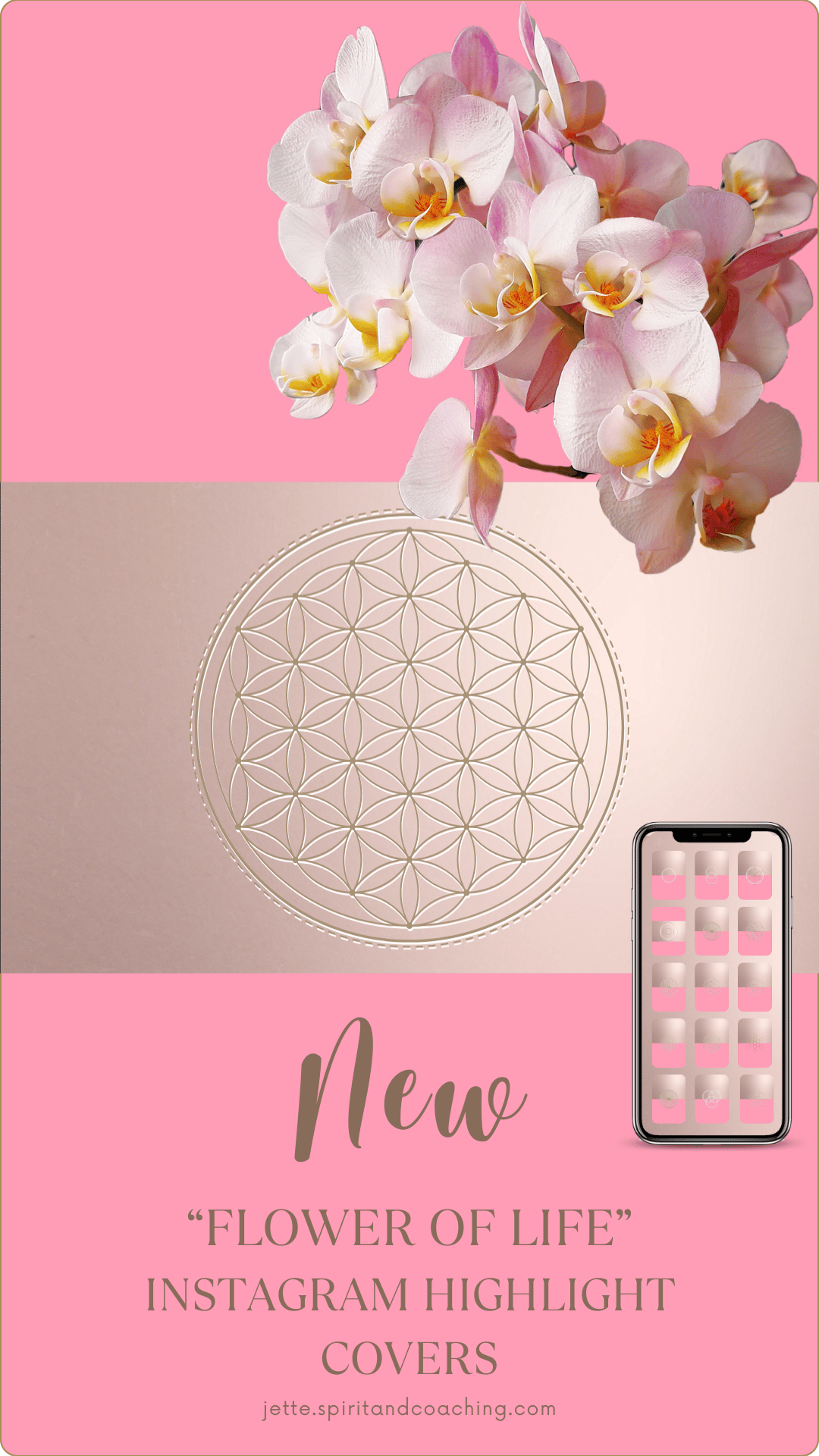 new-format-flower-of-life-instagram-highlight-jette-hofmann