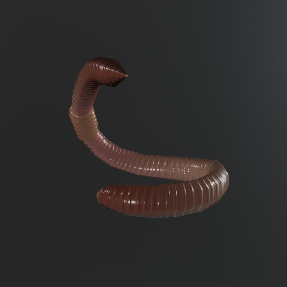 ⁺‧₊˚ ཐི⋆Earth Worm⋆ཋྀ ˚₊‧⁺