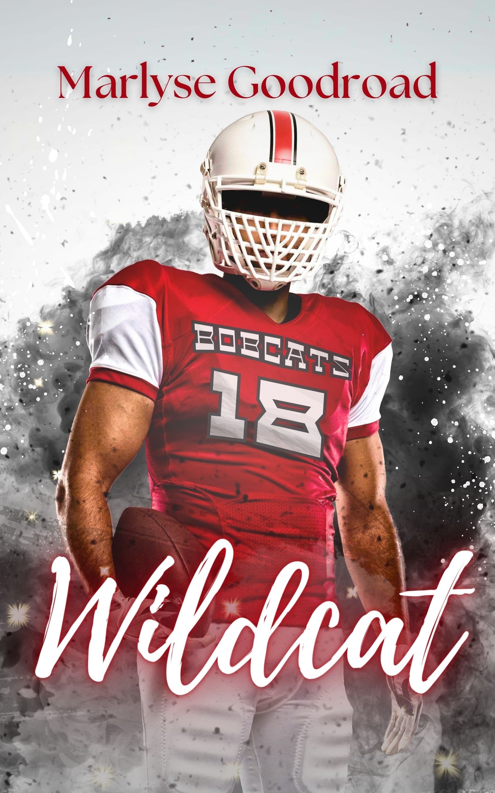 Wildcat - Payhip
