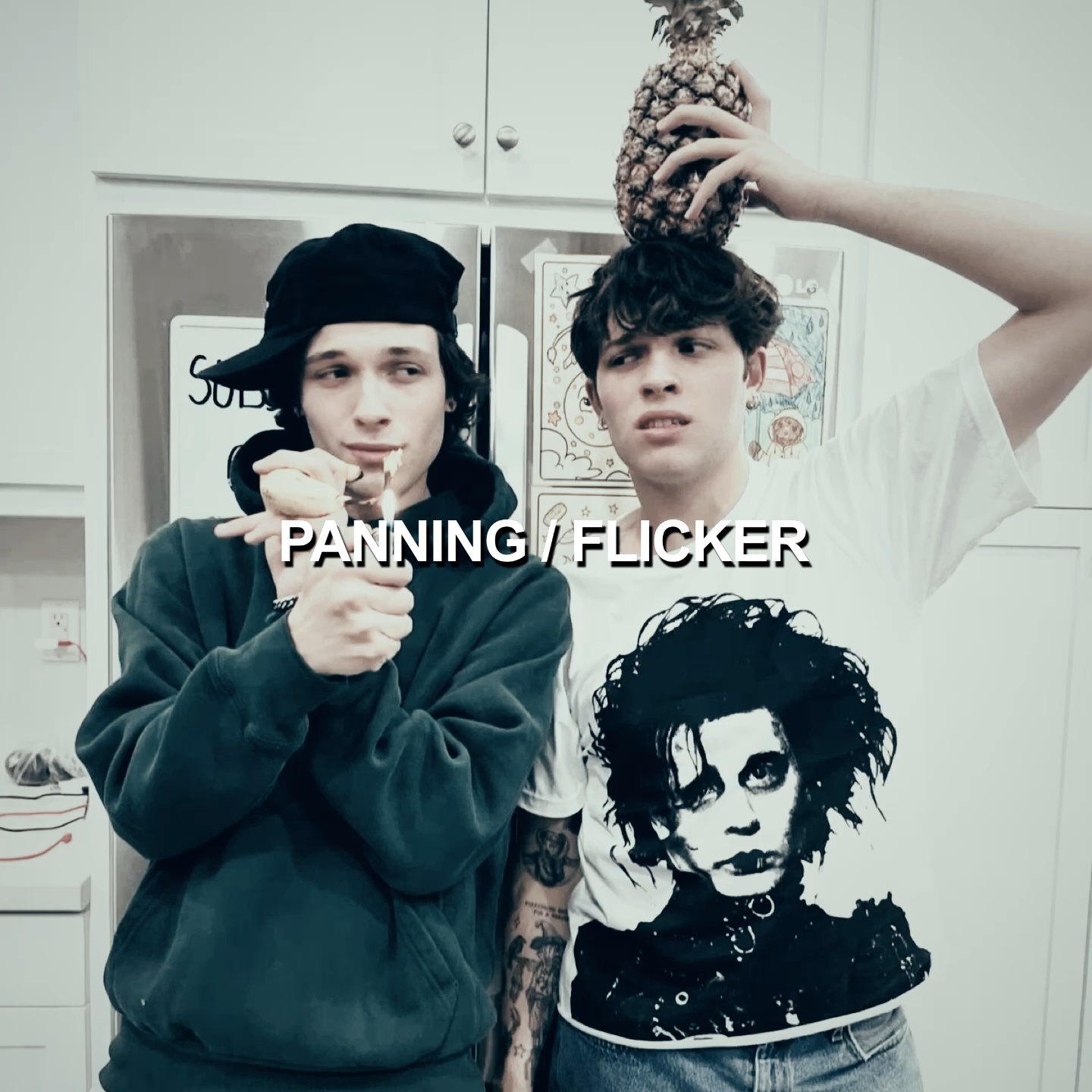 Panning and Flicker - Payhip