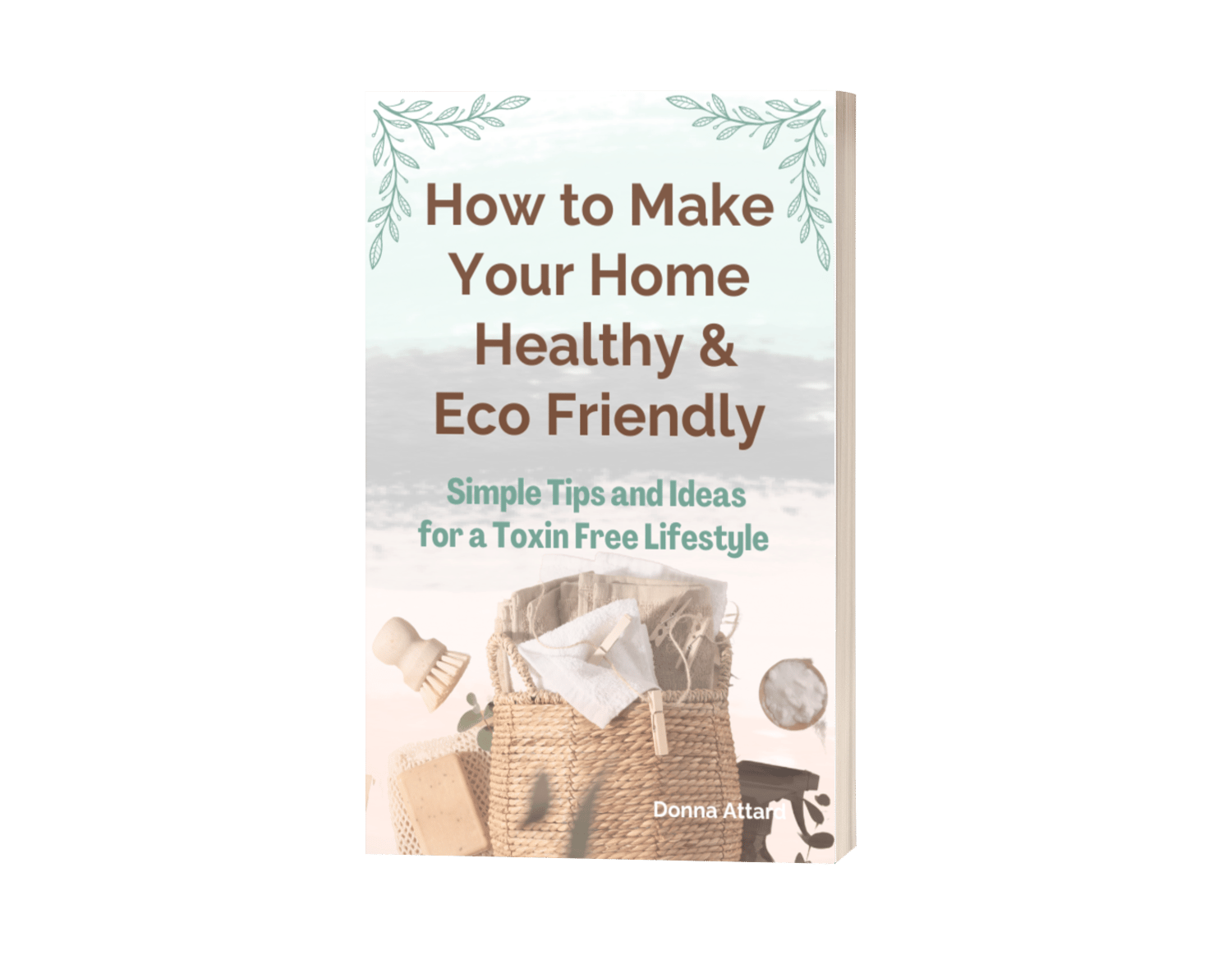 How to Make Your Home Healthy & Eco Friendly: Simple Tips & Tricks for ...