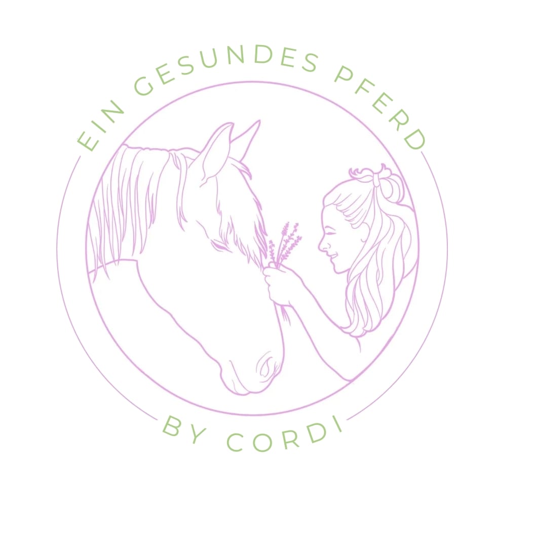 ein gesundes pferd