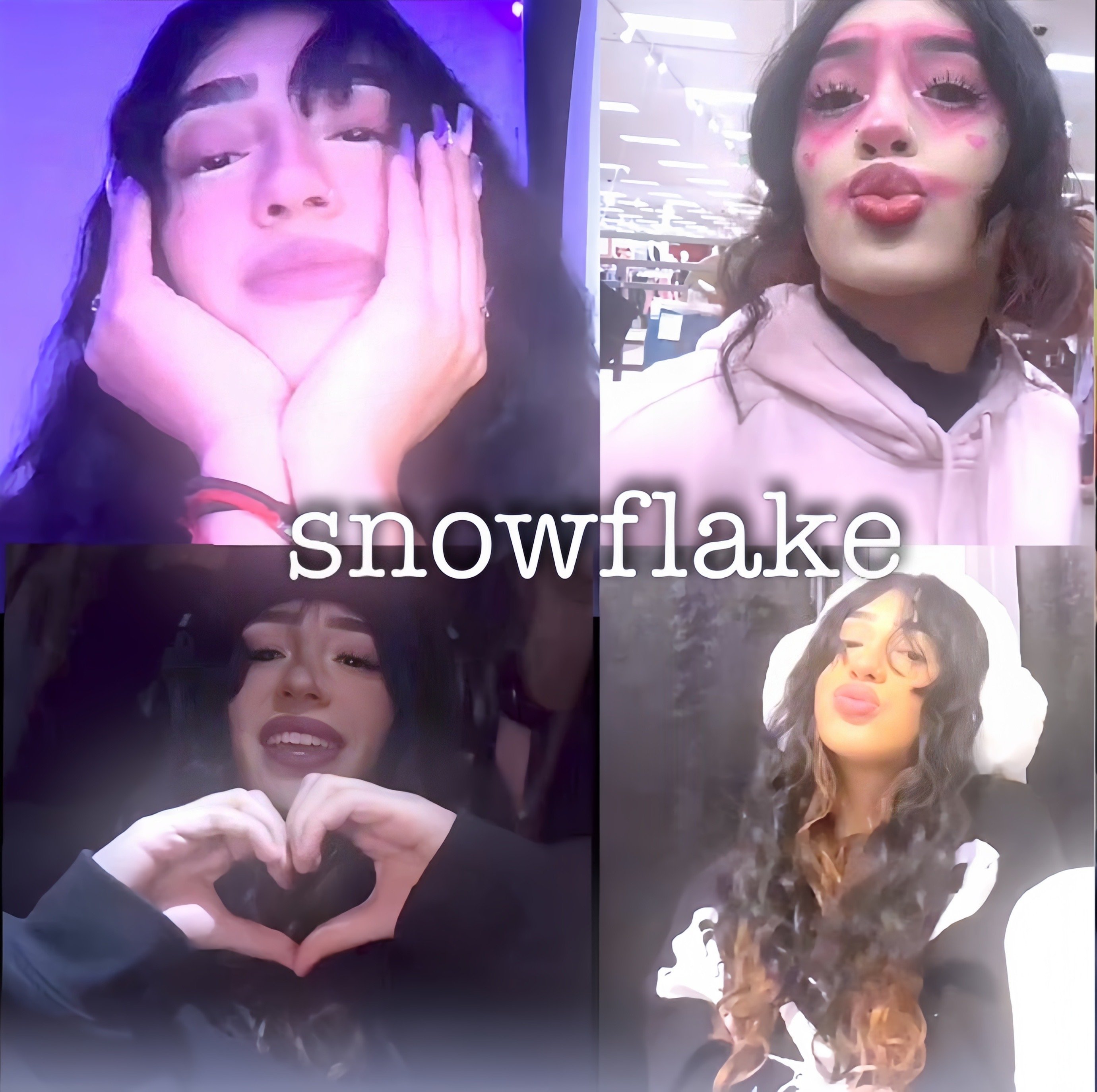 snowflake vsp cc - Payhip