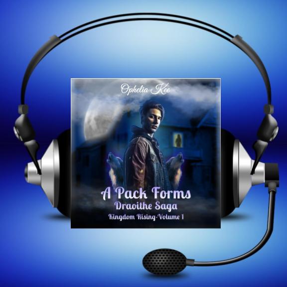 A Pack Foms audiobook image