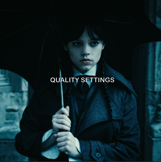QUALITY SETTINGS - Payhip