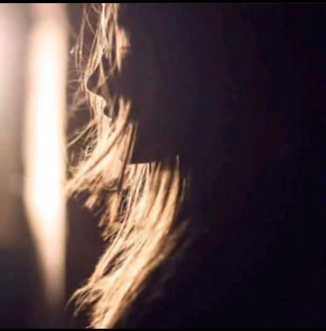 حدائق البن لم تعد تجدي - ريم علاف