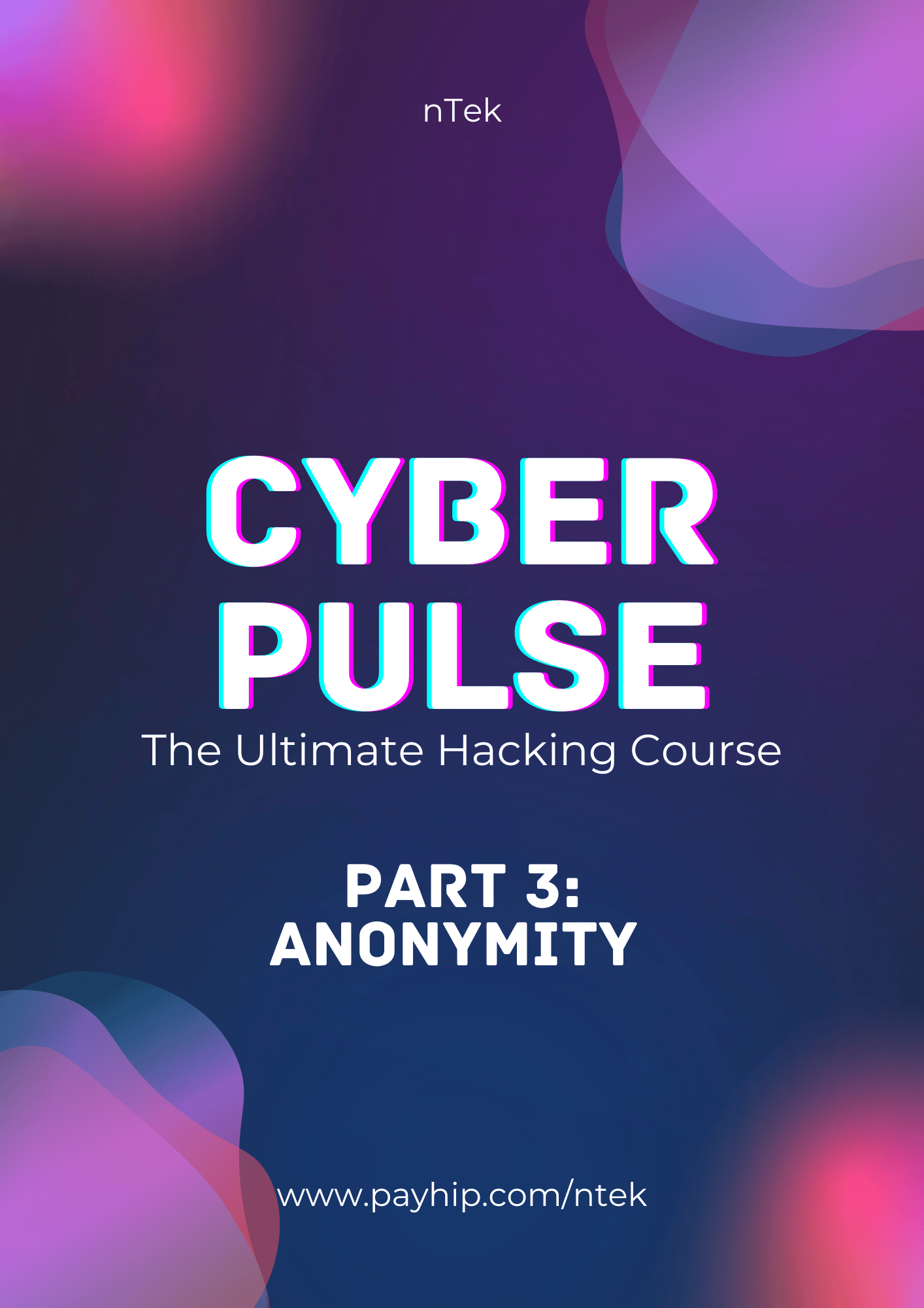 Cyber Pulse, Part 3: Anonymity - Payhip