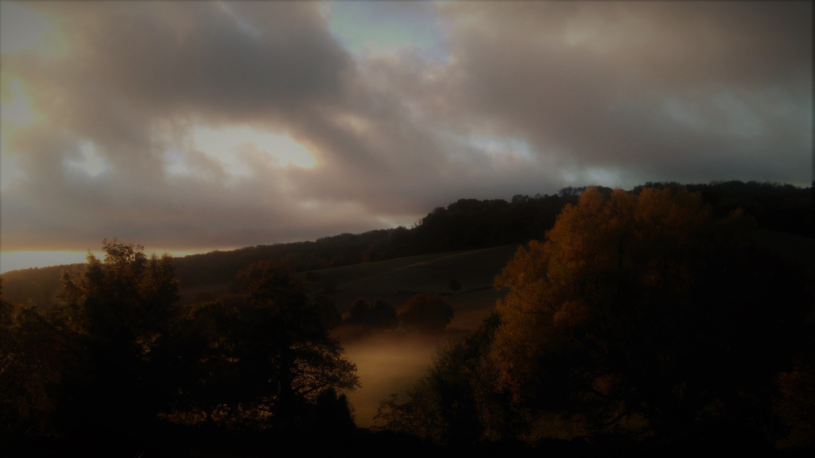 Countryside landscape with morning mist featuring moody autumn colours