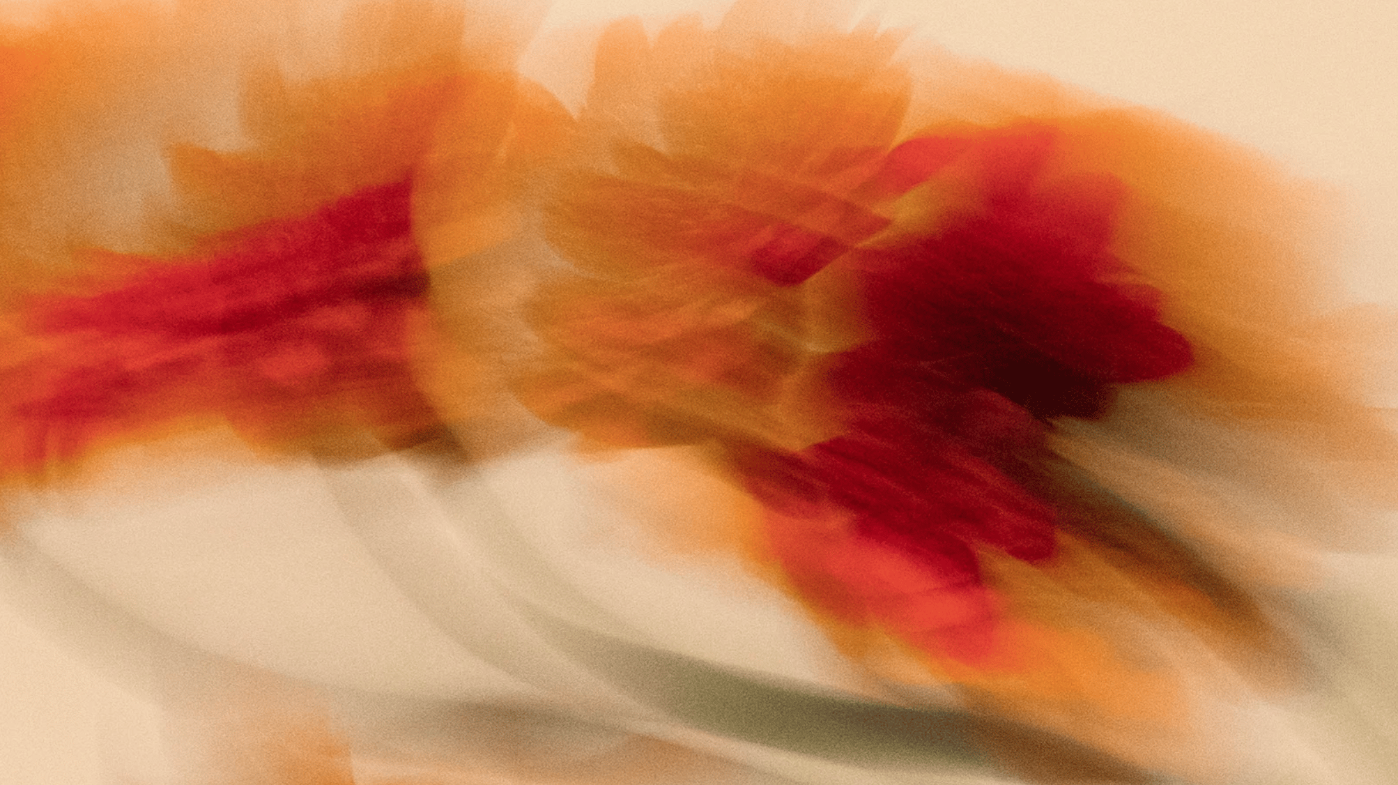 érzelmi szakrális autoritás generátor manifesztáló generátor human design magyarul döntéshozatal