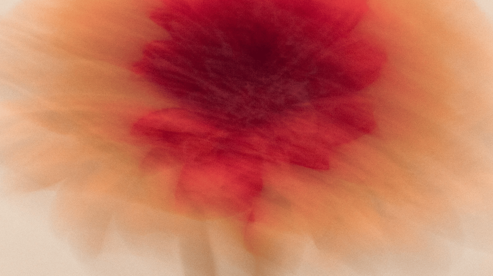 szakrális Autoritás Human Design magyarul döntéshozatal