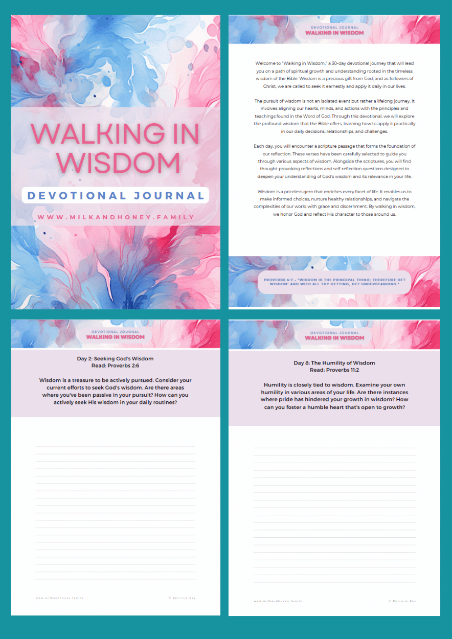 30 Day Wisdom Devotioal Journal