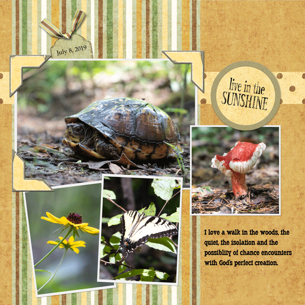 Digital Scrapbook Template Layout