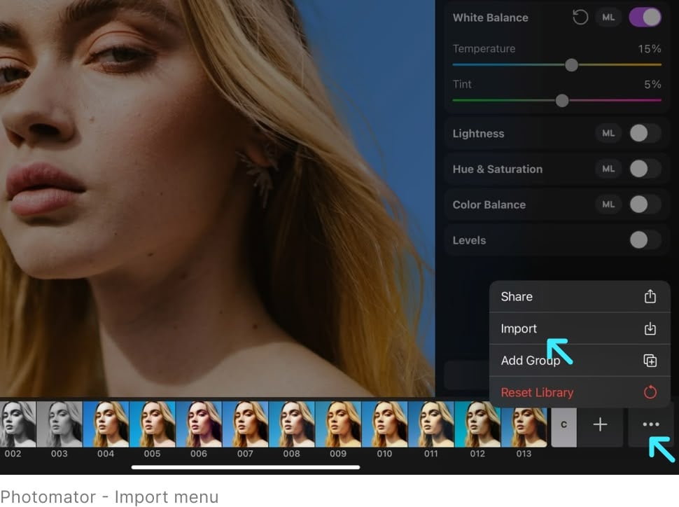 Photomator Import Menu - Preset Pack - Color Adjustments