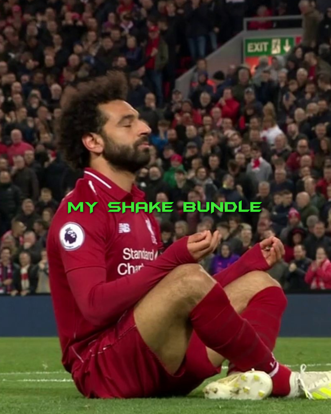My shake bundle ( non prem ) - Payhip