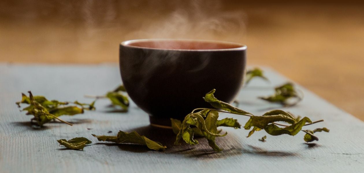 Uncover the myths about tea and kidney health. Find out how drinking tea can actually support kidney function and prevent disease.