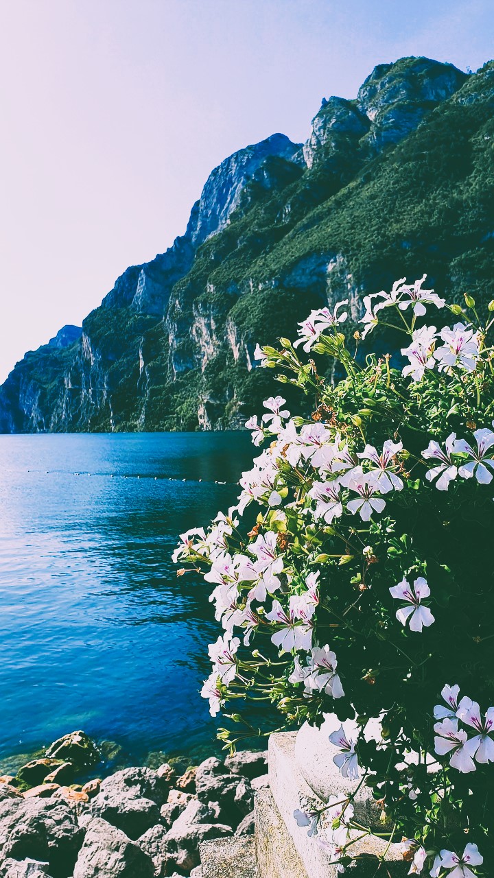 Gardasee, Garda e Italia