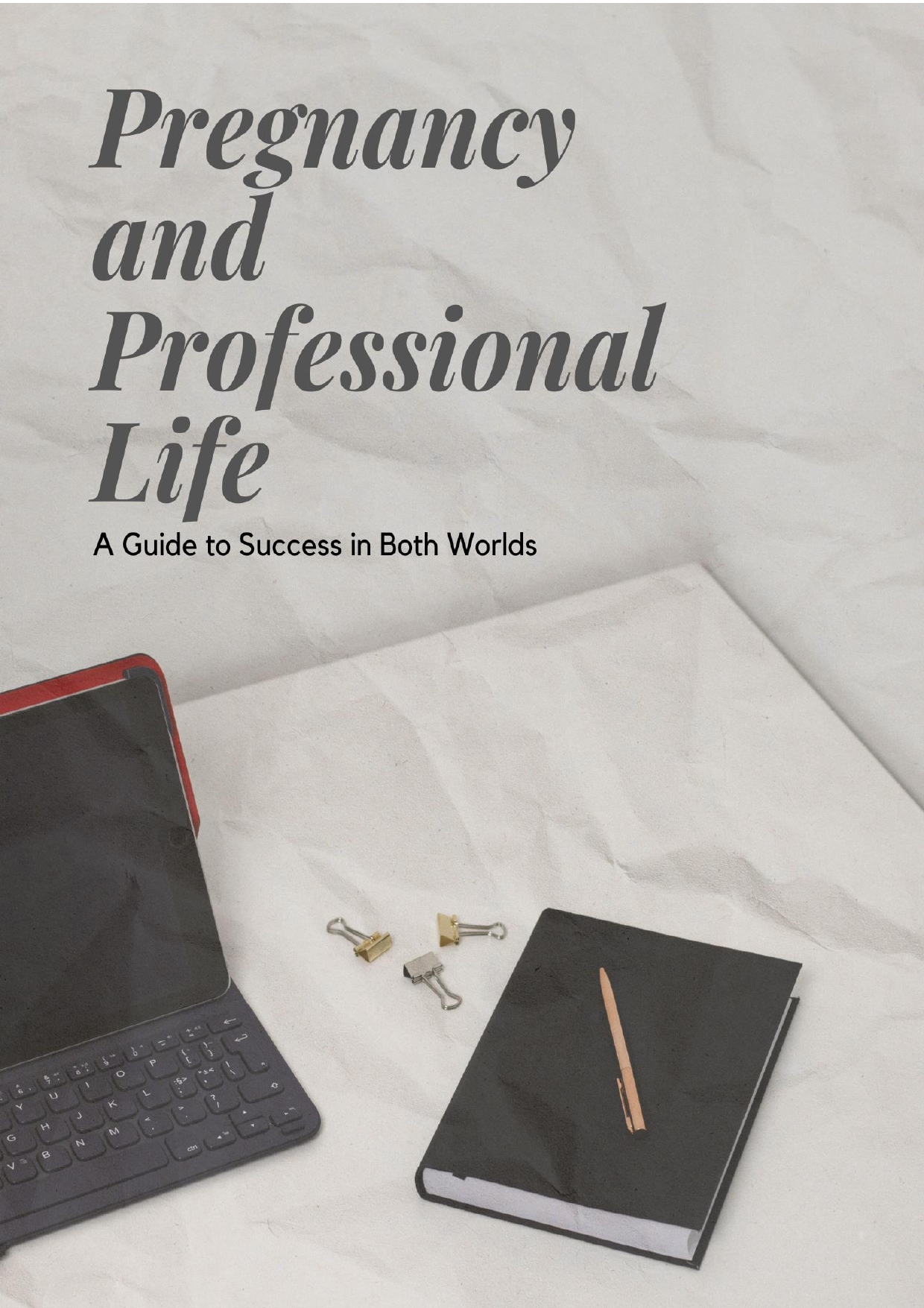 The image shows the cover of a book titled "Pregnancy and Professional Life: A Guide to Success in Both Worlds". The book appears to be focused on providing guidance and strategies for working women who are navigating pregnancy and maintaining their profe