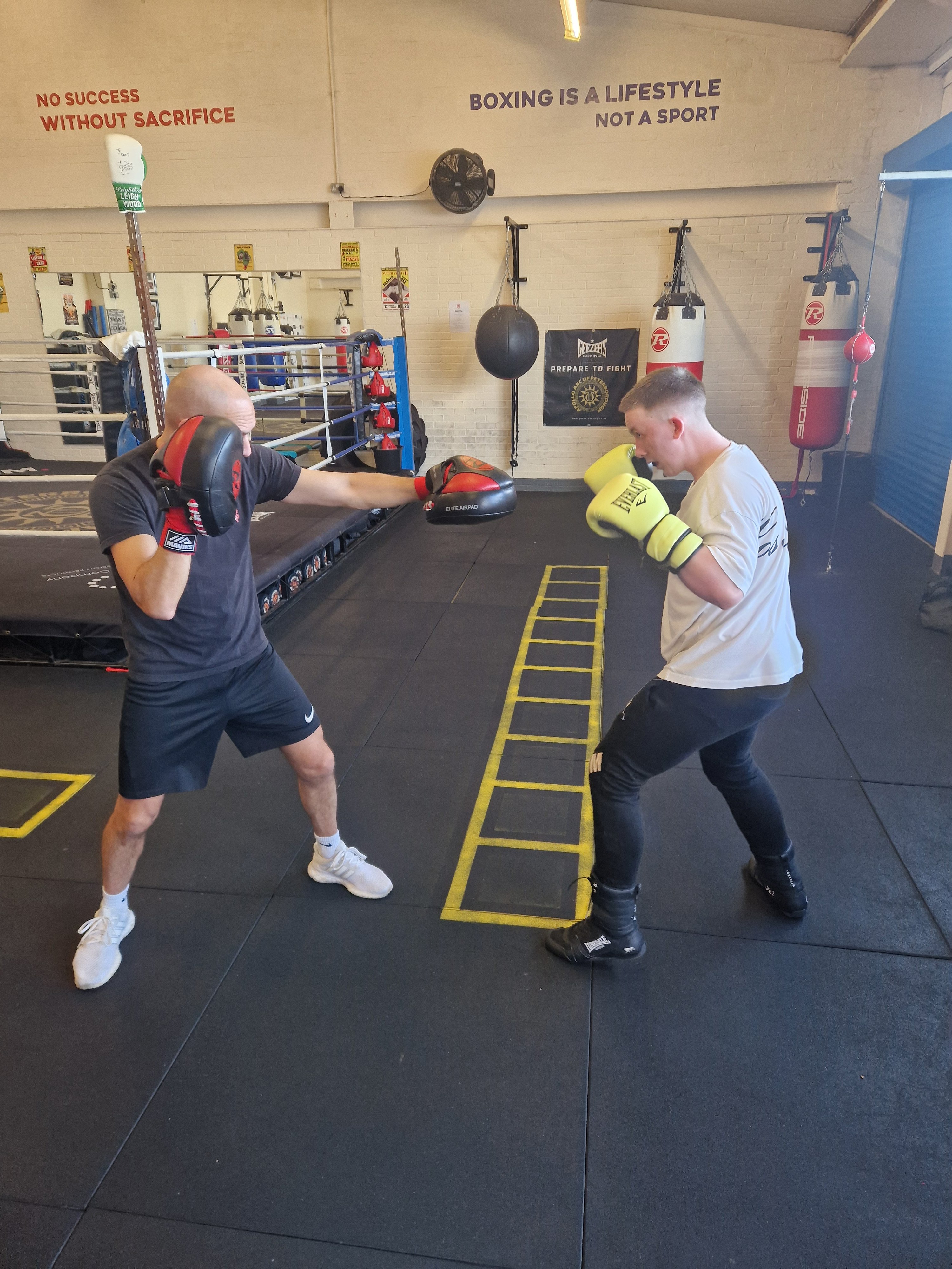 Boxing Coach Online