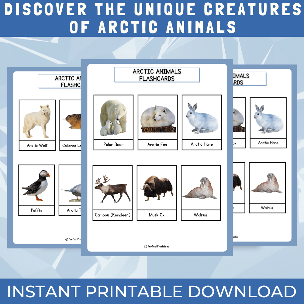 Arctic Animals Flashcards - Winter Polar Animal 3 Parts Montessori ...