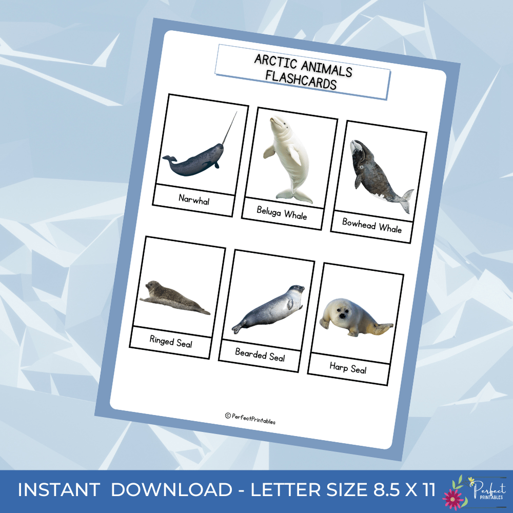 Arctic Animals Flashcards - Winter Polar Animal 3 Parts Montessori ...