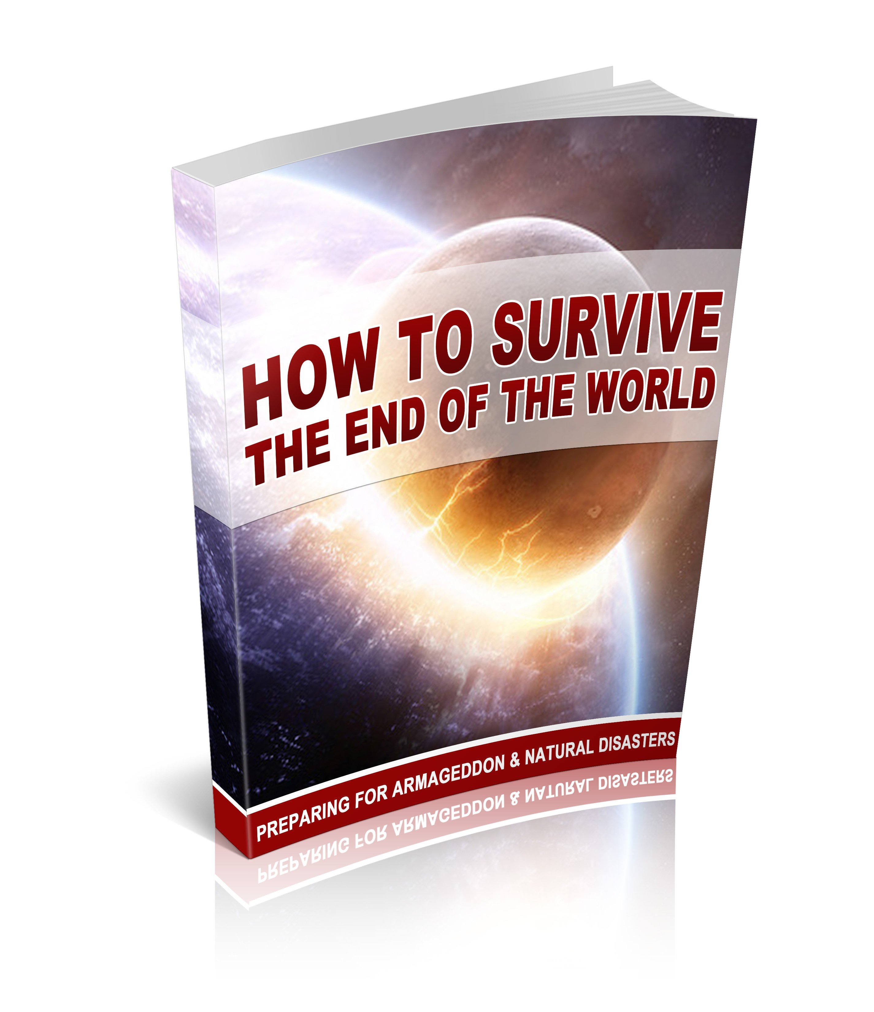 How to Survive the End of the World - Payhip