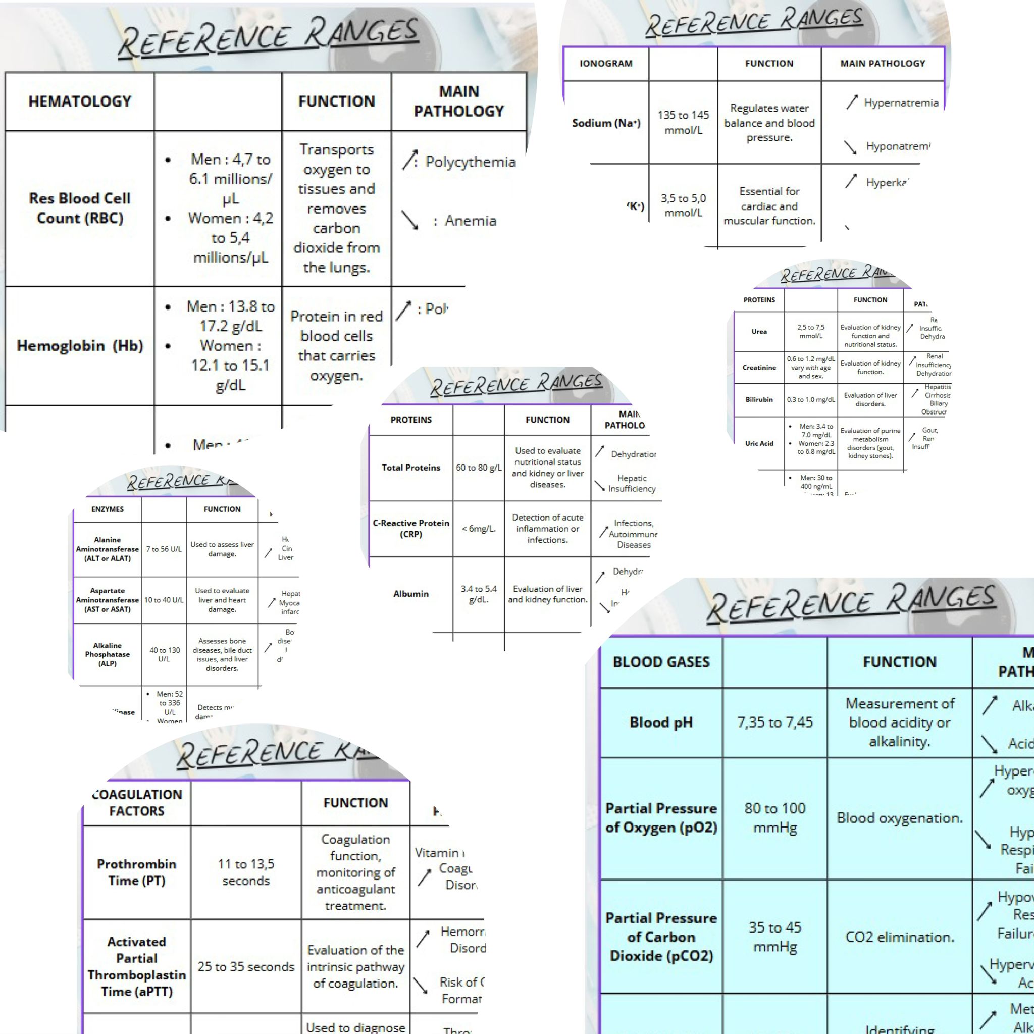 BIOLOGY REFERENCE RANGES in A6 Size Cards - Payhip