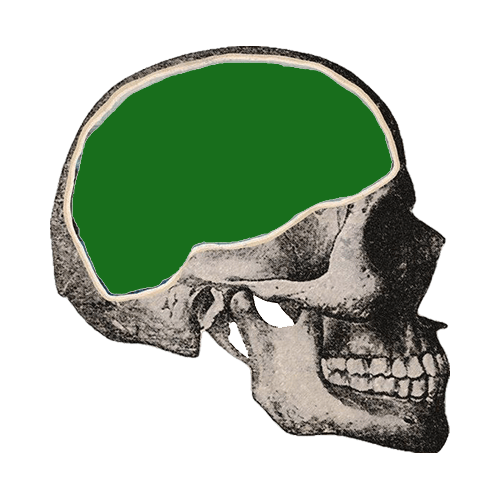 ( IN MY HEAD ) template psd. - Payhip