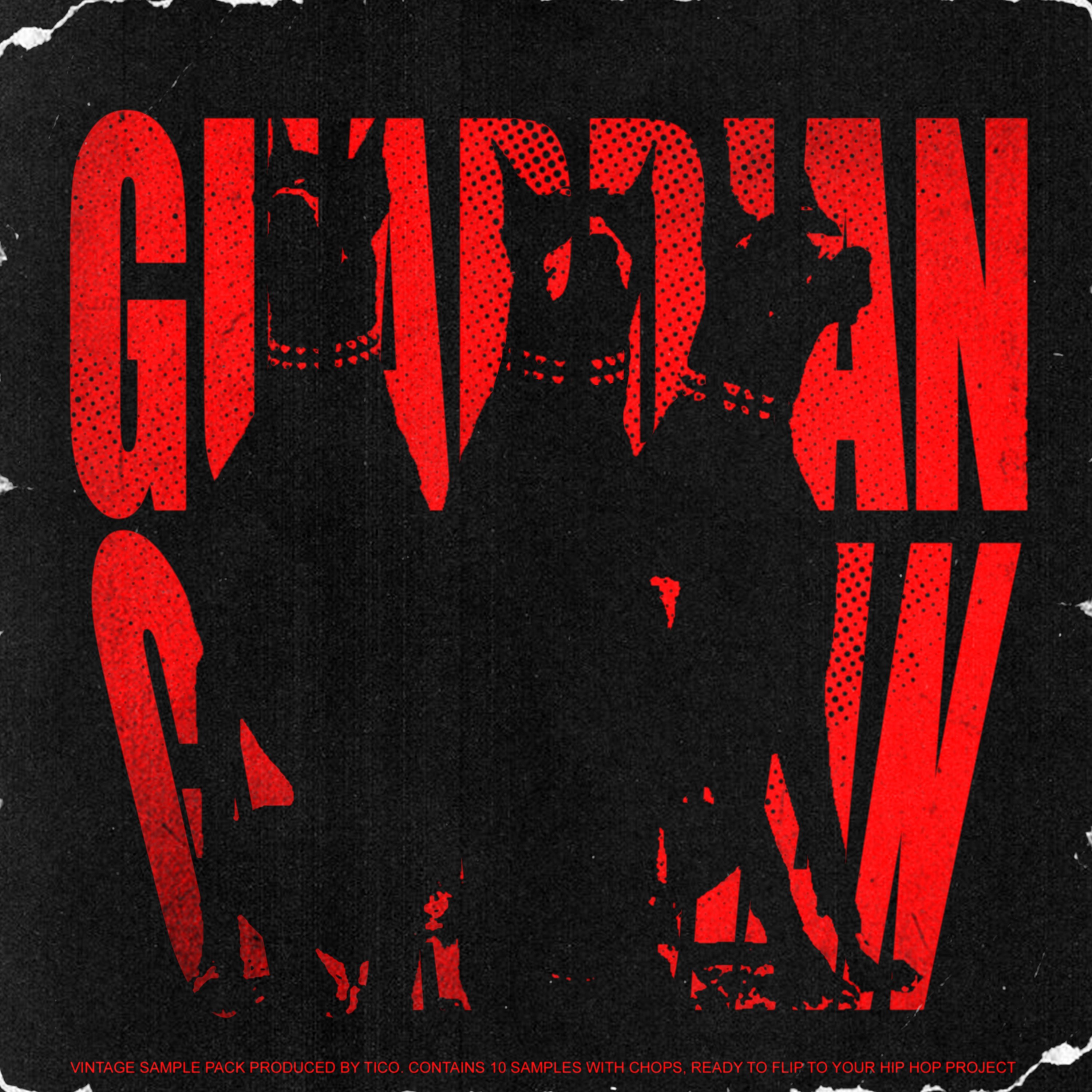 GUARDIAN - Hip Hop Rare Chops