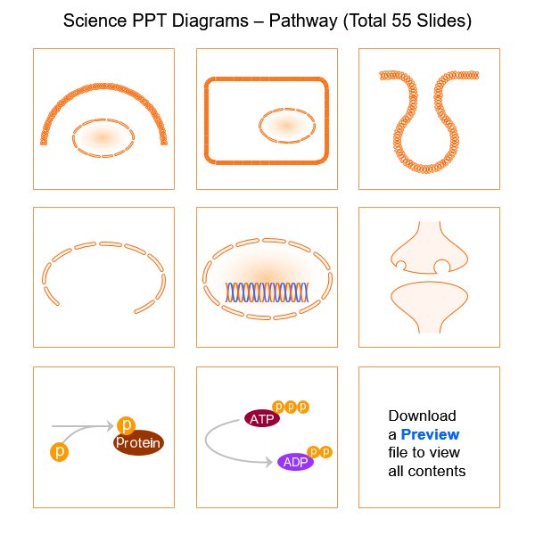 Science Pathway Figure Science PPT - Pathway