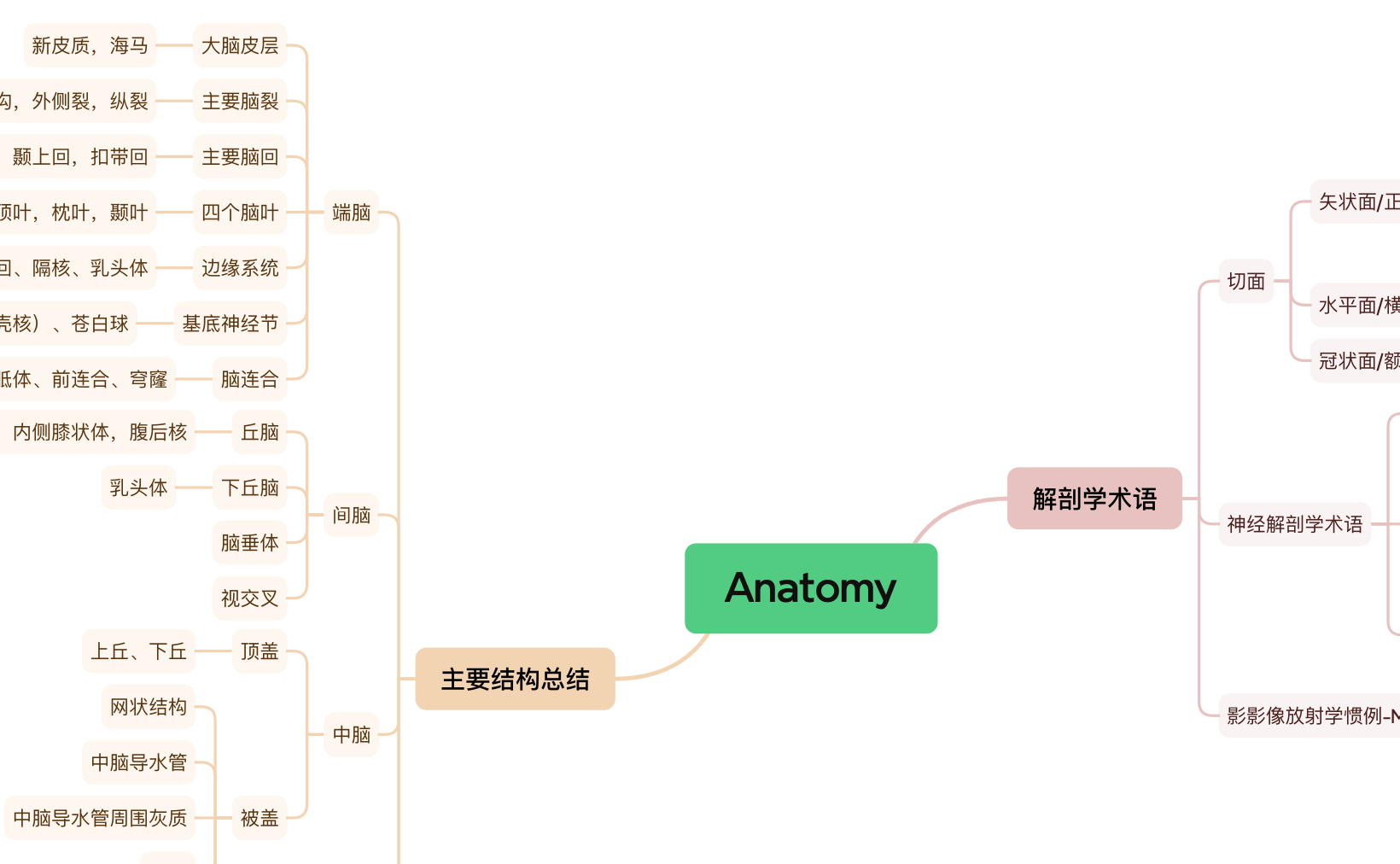 Brain Bee Mindmap - Anatomy (in Chinese) - Payhip