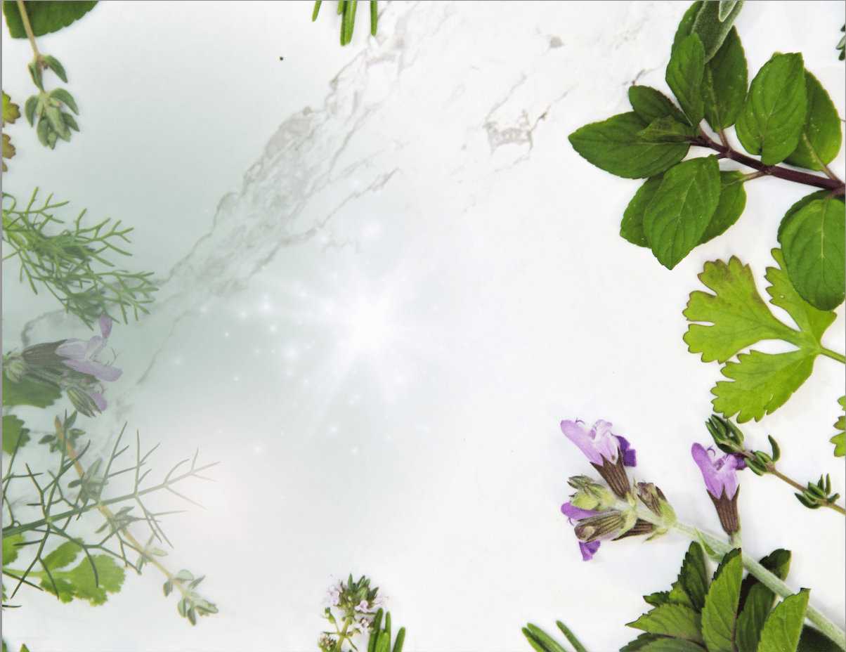 stacie rae folk herbalist, life coach, author, lemon balm, last letter book, energy healer, emotion code, educator