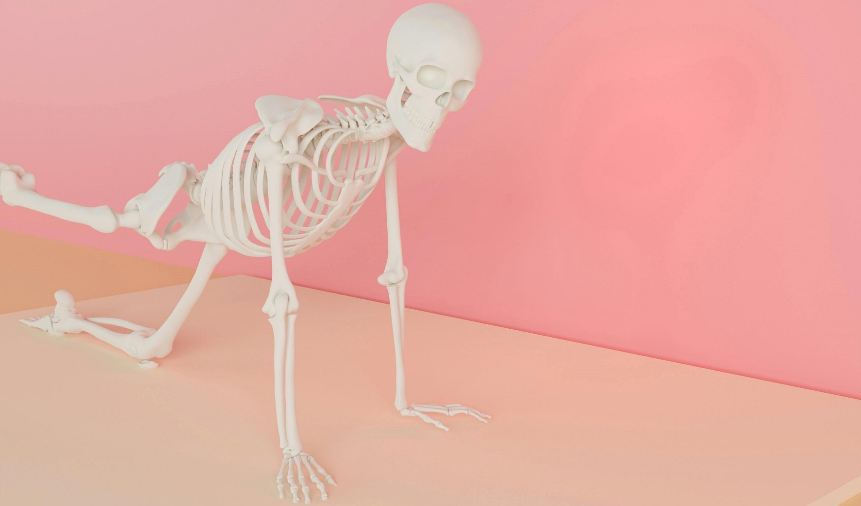 Formation certifiante squelette du corps humain