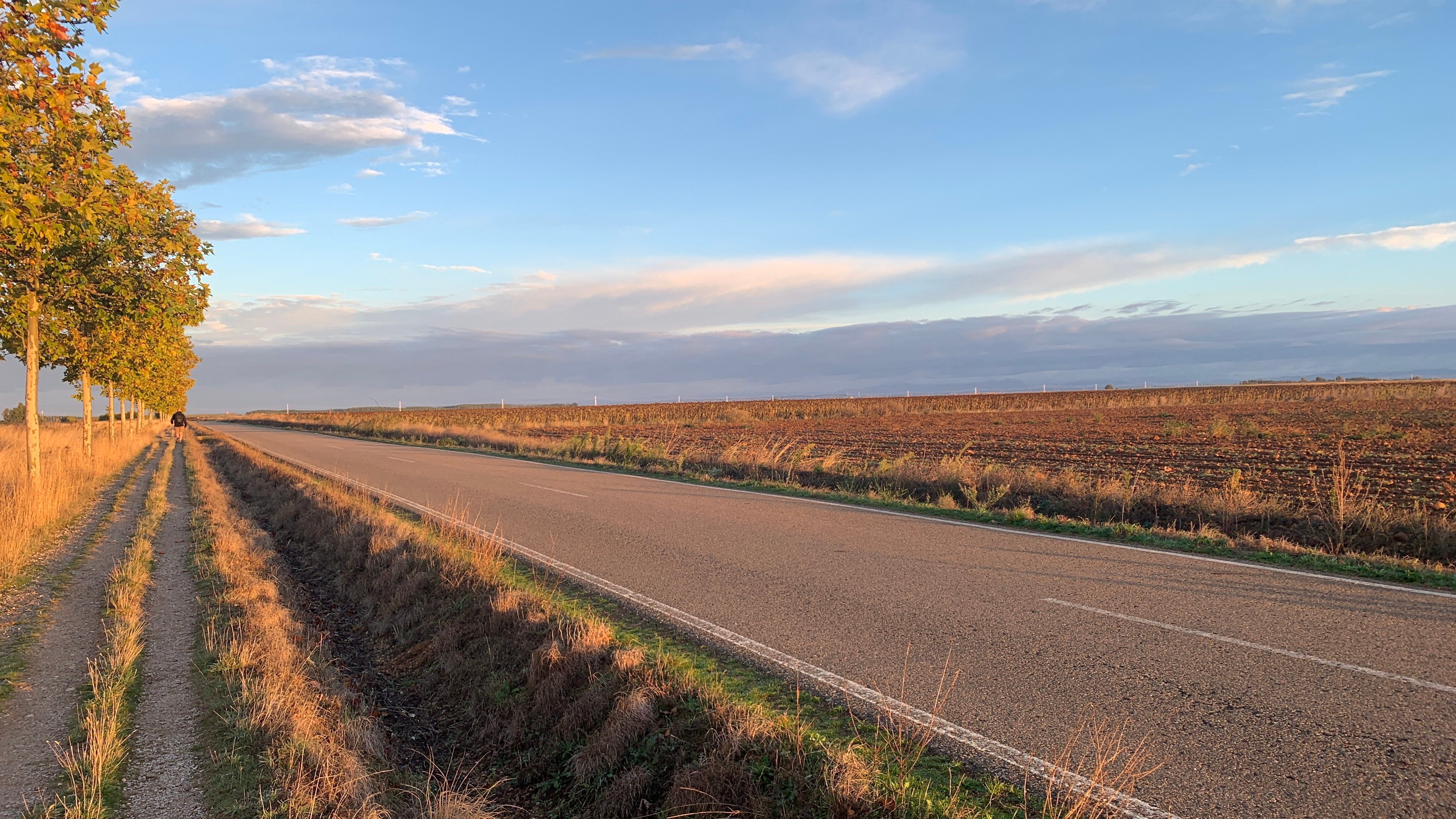 A long road on the Camino Frances for a head and neck cancer survivor