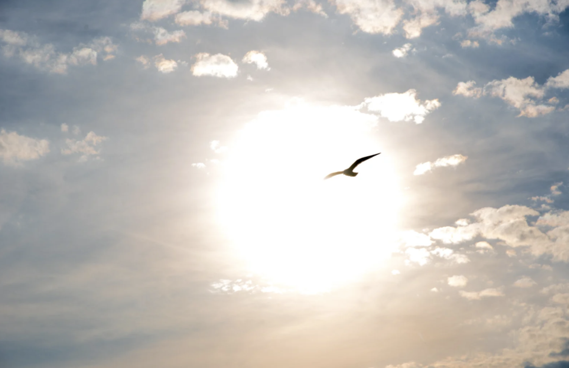 Hamis Én Valódi Én Human Design Kollektív Tudatosság Kondicionálás Álom Ébredés