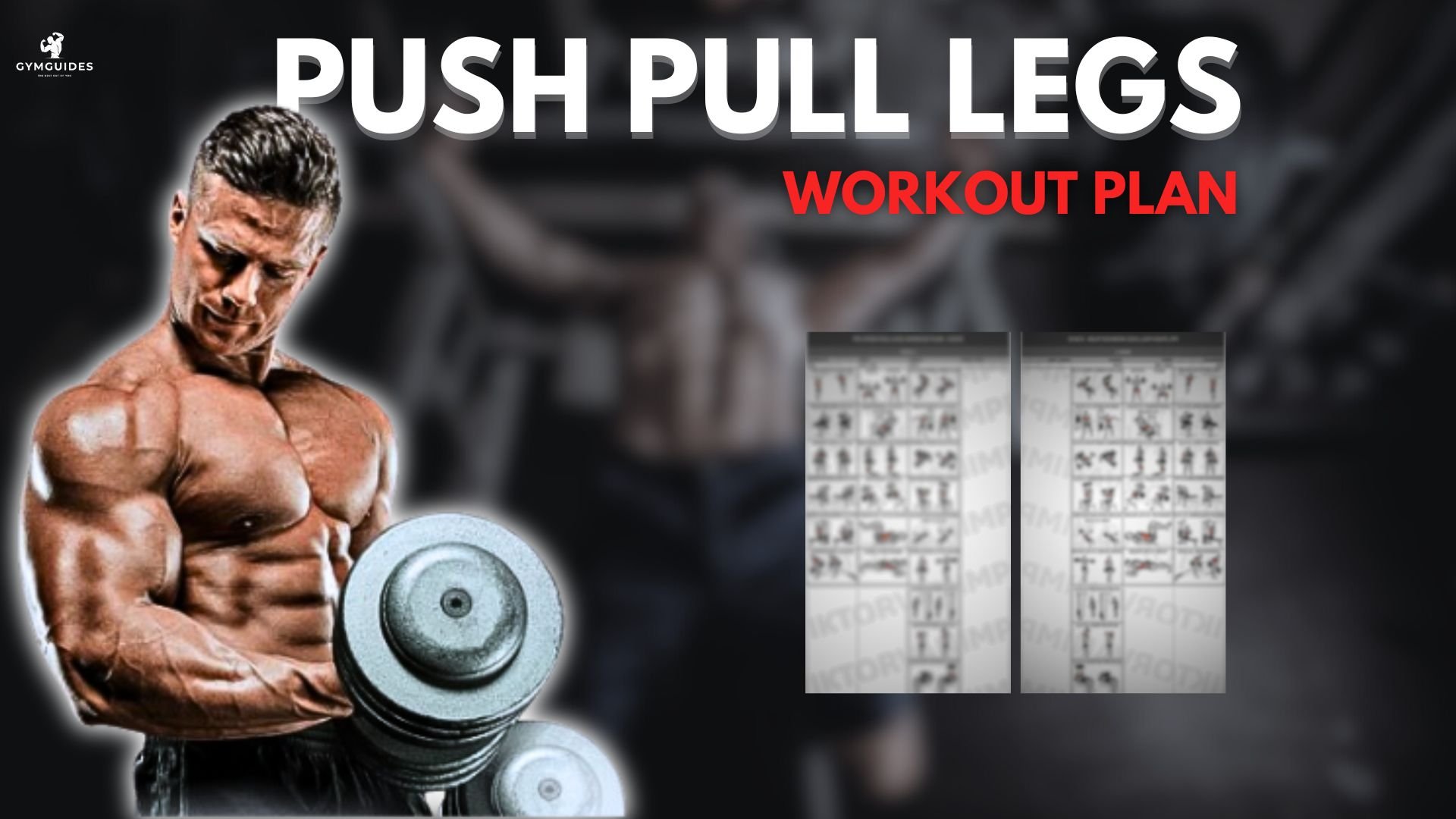 3 DAY PPL WORKOUT PLAN - Payhip