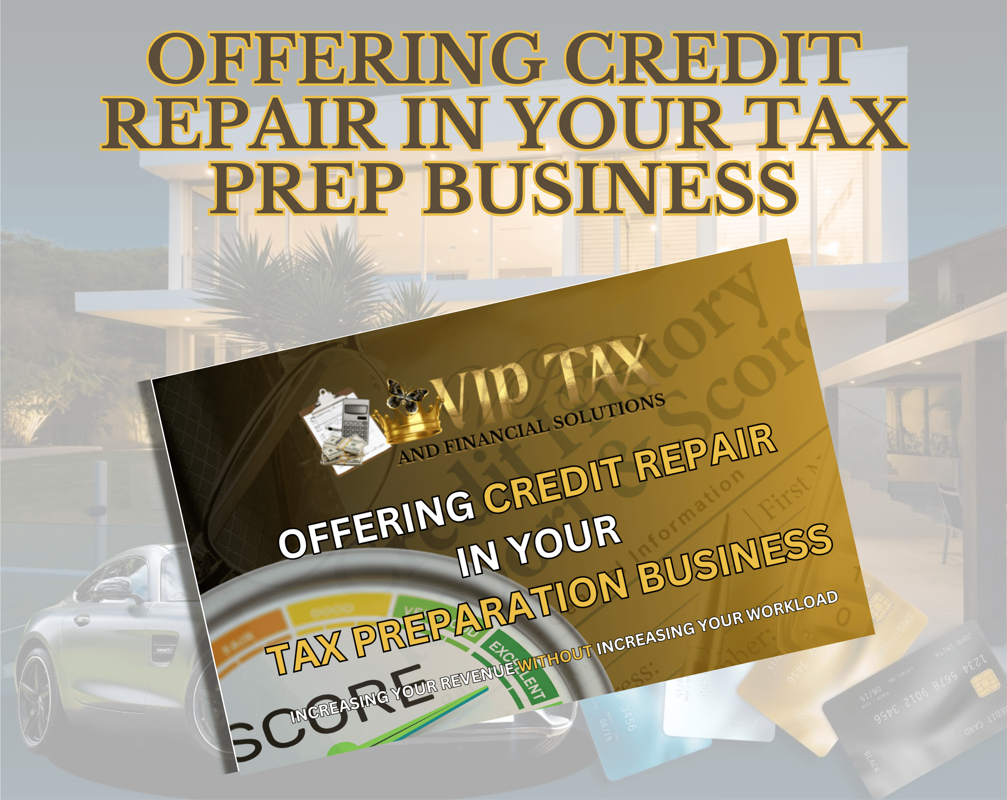 Mend Vip Offering Credit Repair In Your Tax Prep Business - Payhip