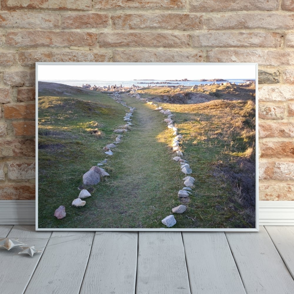 Cadre tableau image photo BRETAGNE Landrellec Chemin Landes