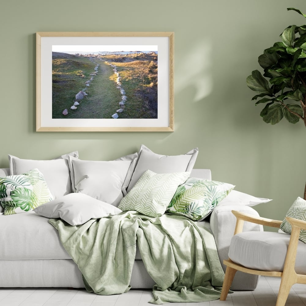 Cadre tableau image photo BRETAGNE Landrellec Chemin Landes