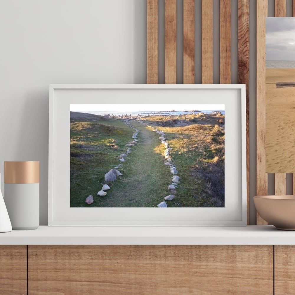 Cadre tableau image photo BRETAGNE Landrellec Chemin Landes