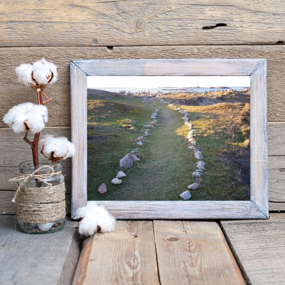Cadre tableau image photo BRETAGNE Landrellec Chemin Landes